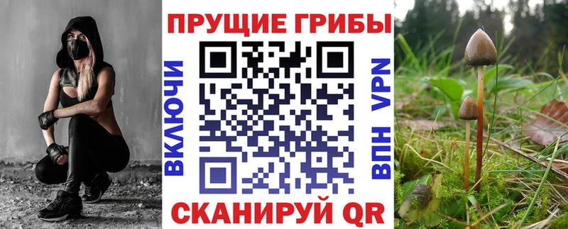 Галлюциногенные грибы ЛСД хочу Назарово